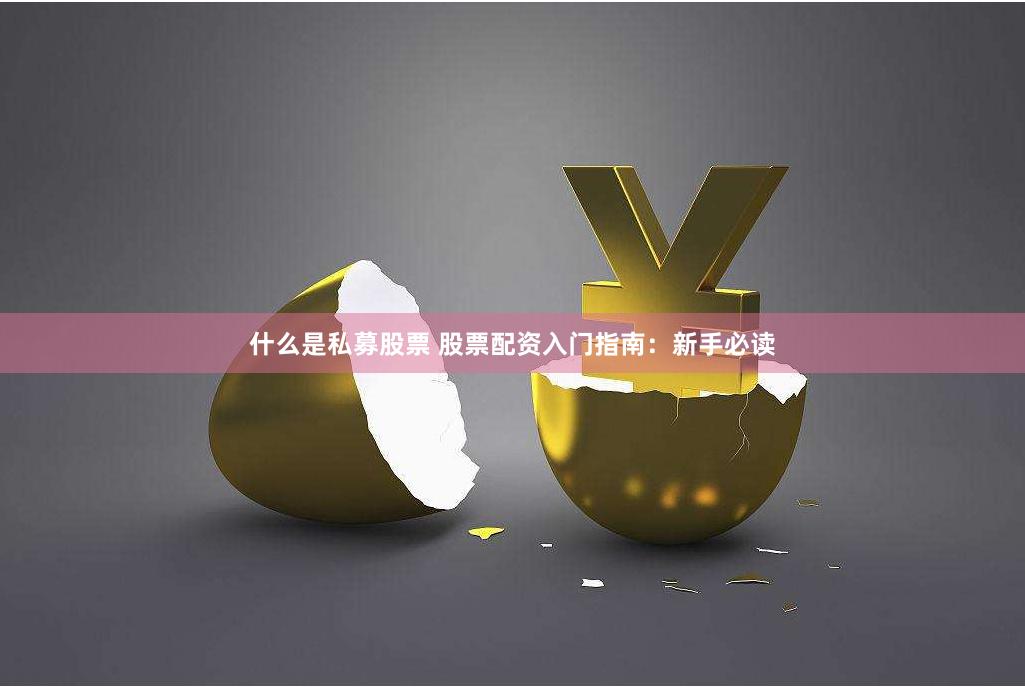 什么是私募股票 股票配资入门指南:新手必读