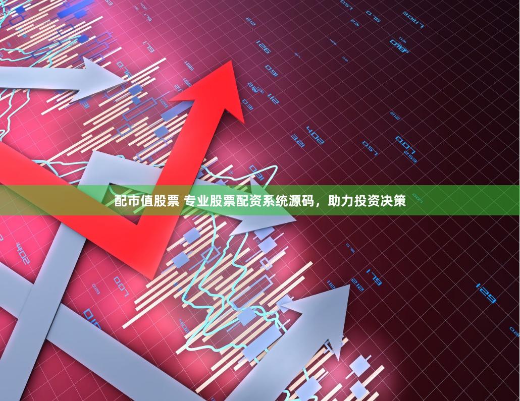 配市值股票 专业股票配资系统源码,助力投资决策