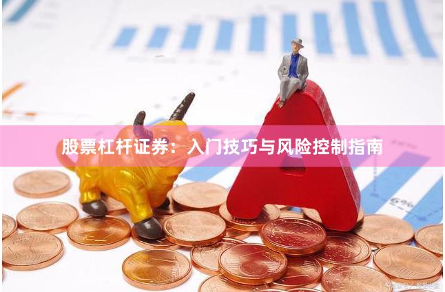 股票杠杆证券：入门技巧与风险控制指南